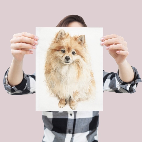 Watercolor Pomeranian Dog Portrait Art Print – Unframed Fine Art Poster - Picture 4 of 5